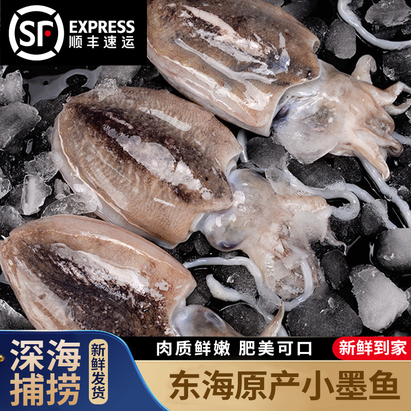 东海纯野生海捕新鲜小墨鱼原浆货无泡发顺丰发货