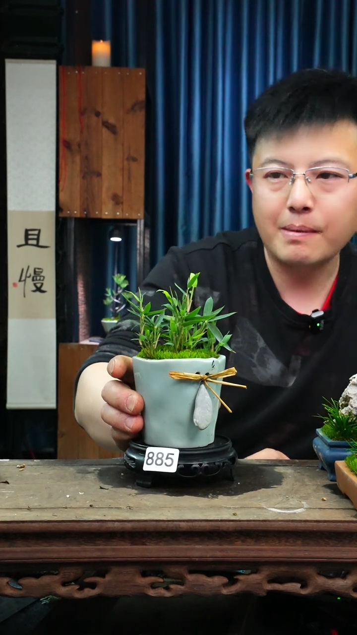 【闪购商品】苔藓微景观885号