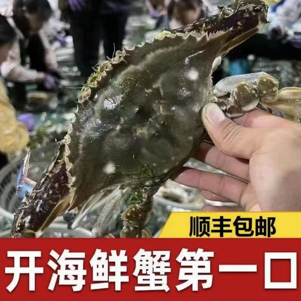 b【冻蟹爆炒】连云港3-4俩顺丰发货
