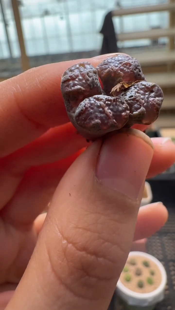 【闪购商品】2/4-288