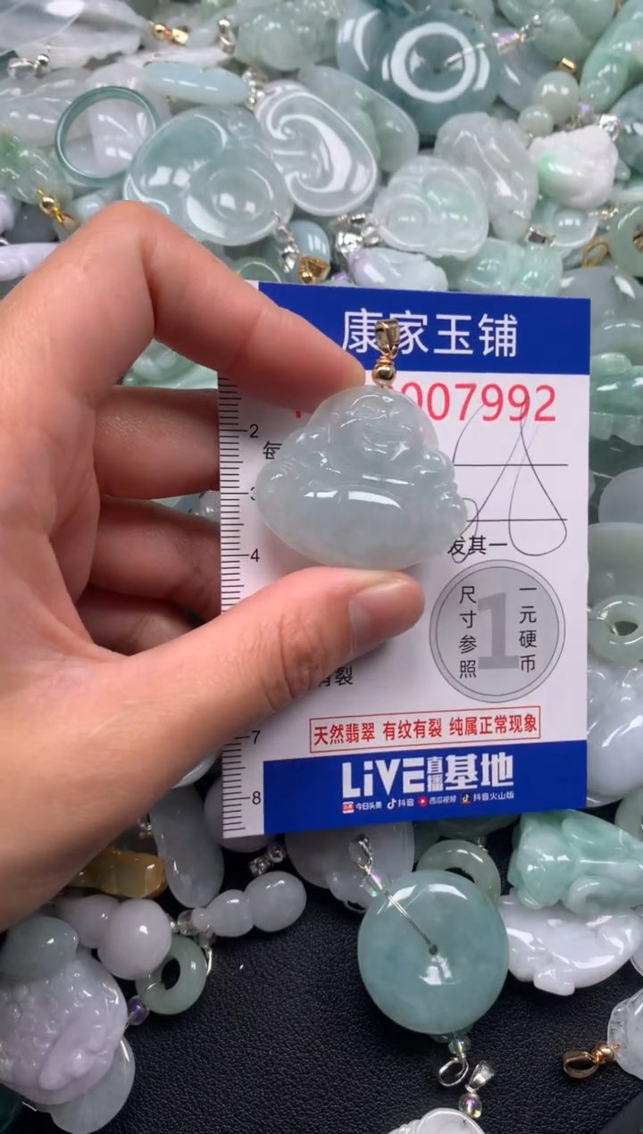 颈饰未镶嵌翡翠7992