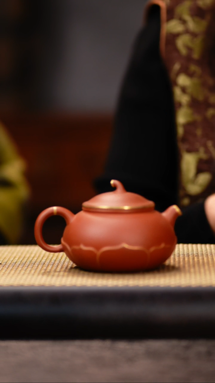 LJ98底槽清莲瓣茄瓜