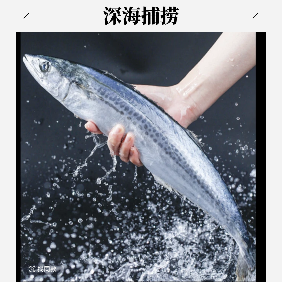 东海热气马鲛鱼 到手3条上下保净重4斤以上 顺丰冷链到家
