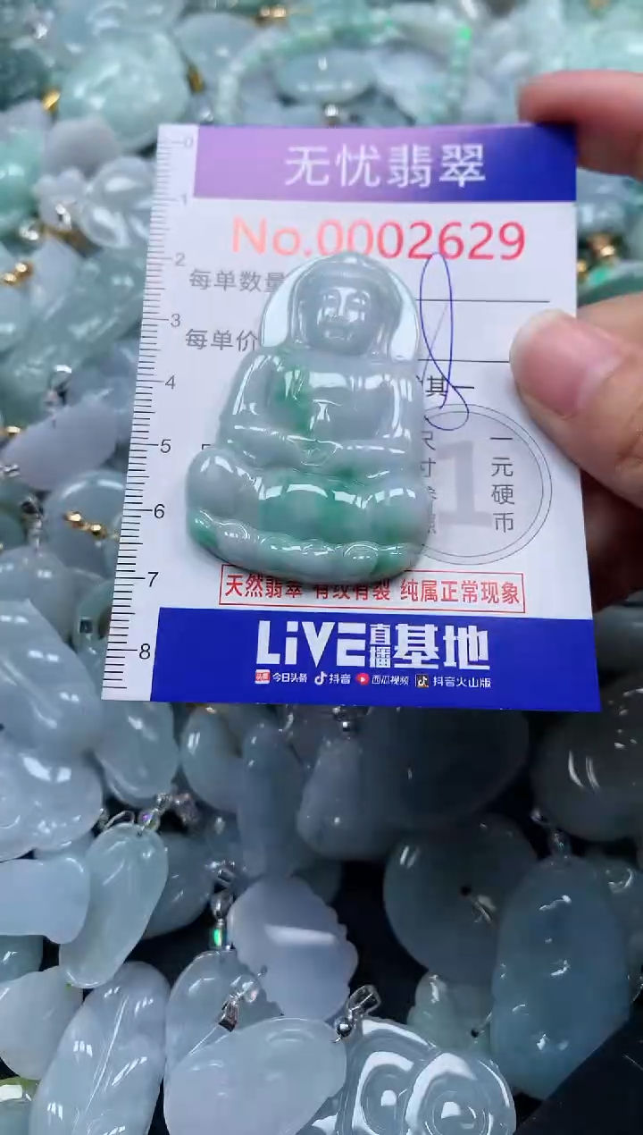 颈饰未镶嵌翡翠2629