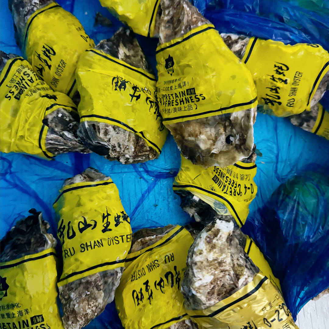 2+生蚝【保鲜不保活】到手10个 以实际到手斤数为主