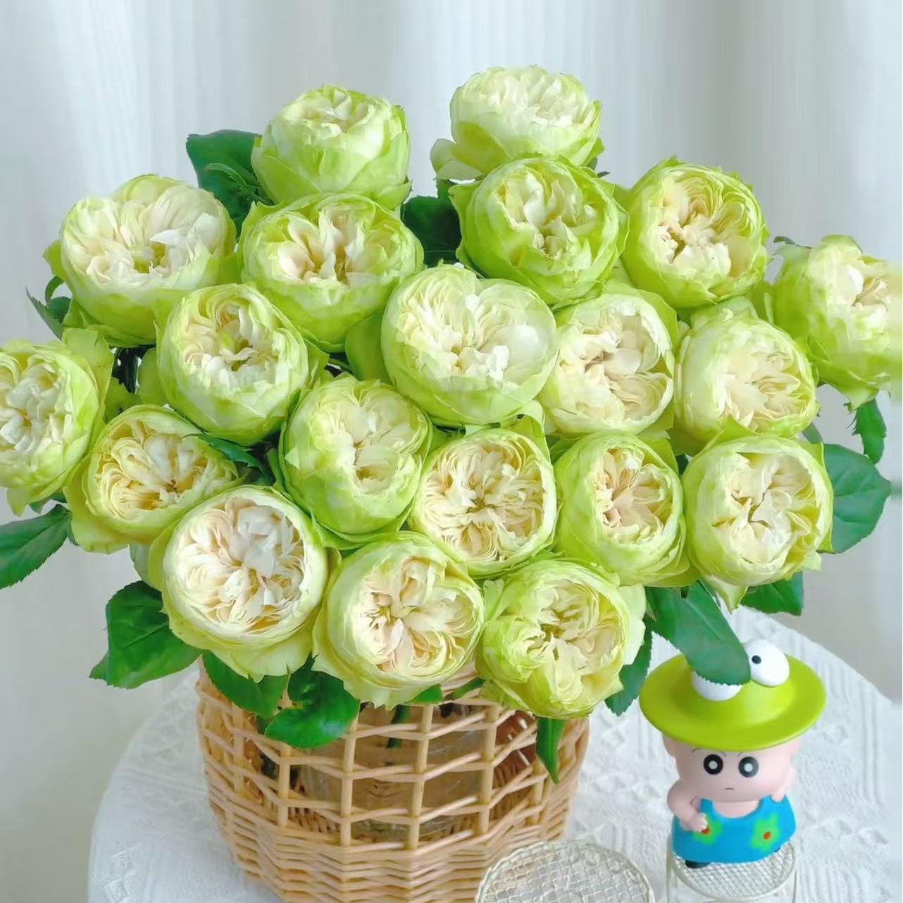 【夏雨荷】稀有单头玫瑰玖枝花优选云南直发鲜切花鲜花