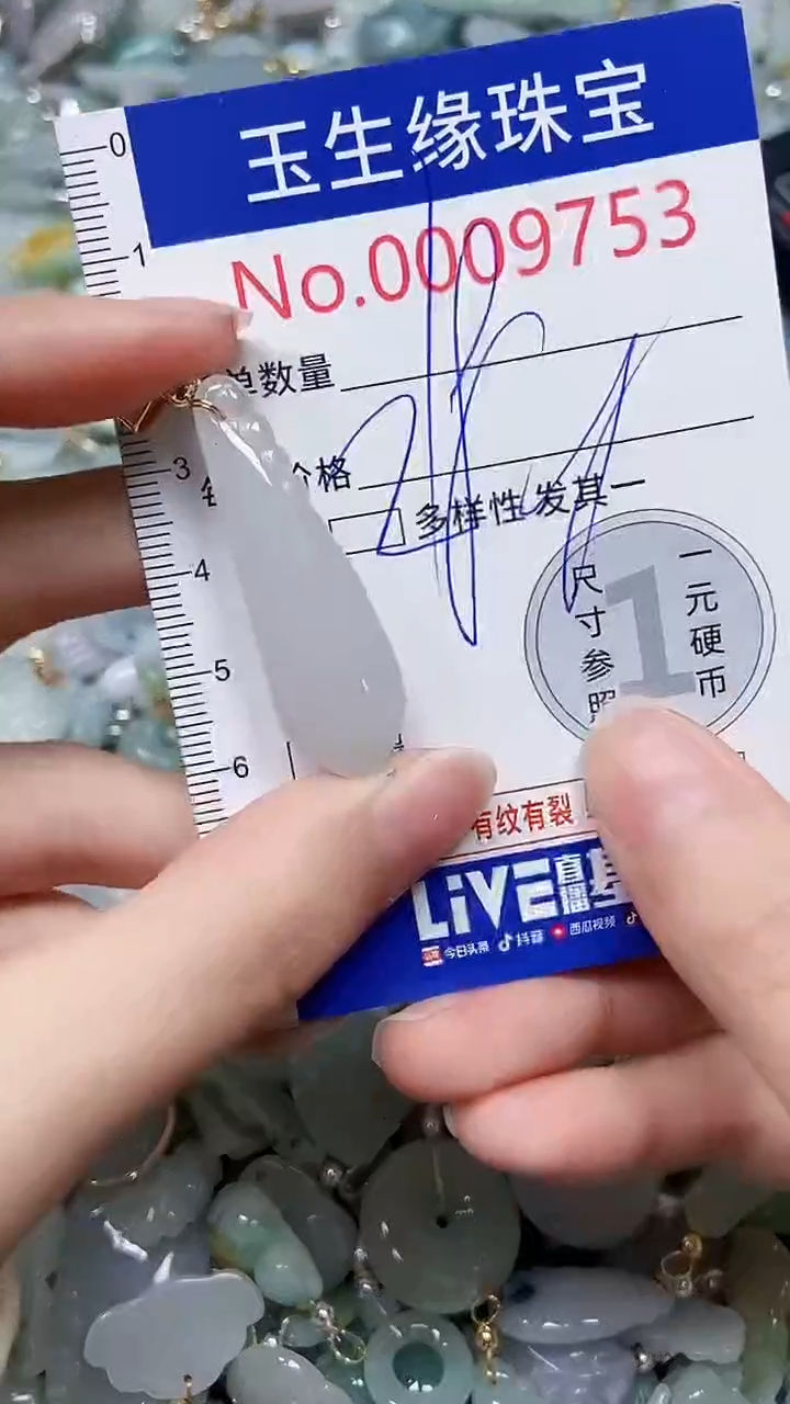 【闪购商品】翡翠颈饰未镶嵌闪购00009753