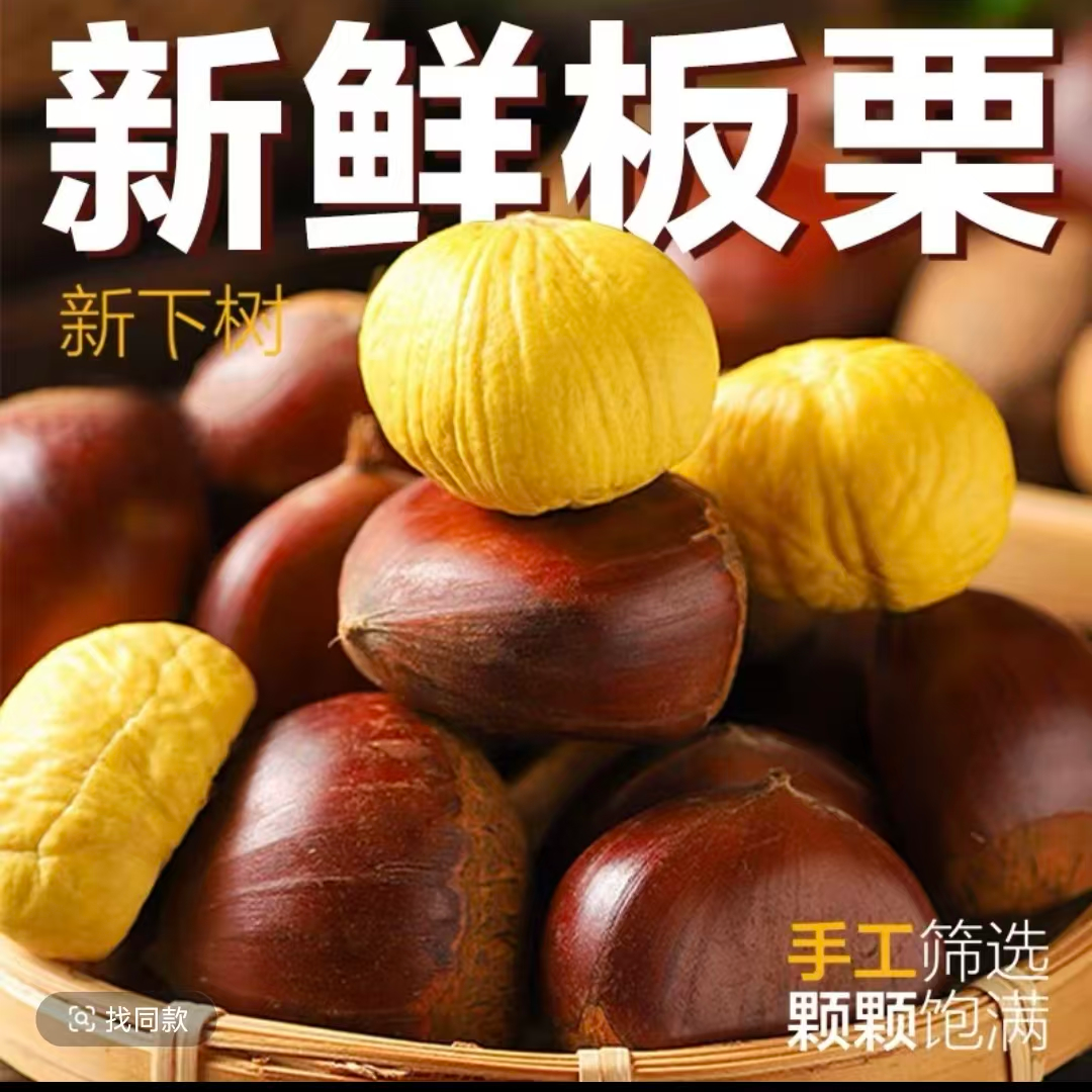 新鲜高山板栗生栗子带开口器5斤