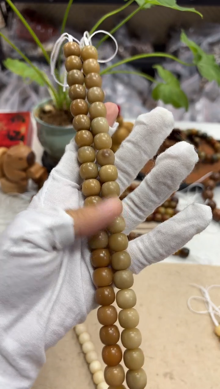 菩提根/象牙果手串12三高不挑（143）