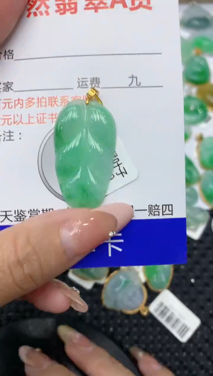【闪购商品】翡翠颈饰18K金镶嵌111111111
