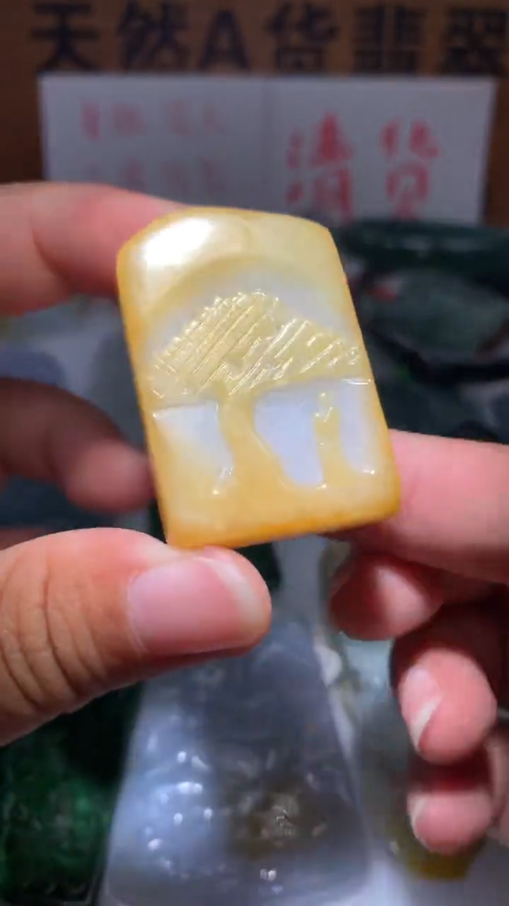 【闪购商品】翡翠颈饰未镶嵌保真天然A货翡翠