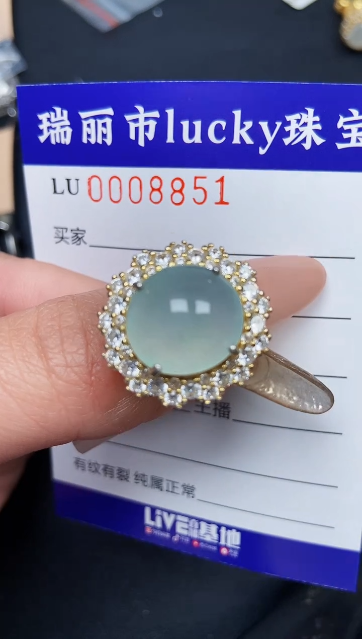 【闪购商品】翡翠颈饰银S925镶嵌8851