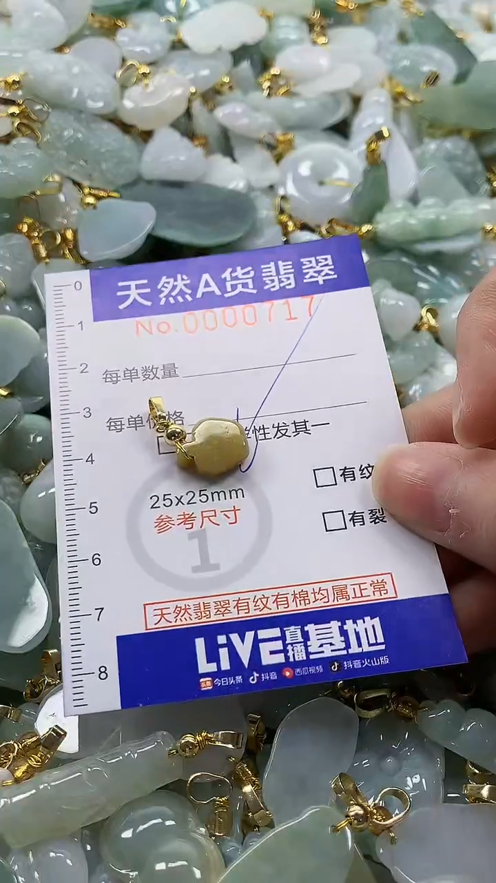 颈饰未镶嵌翡翠纯天然a货翡翠