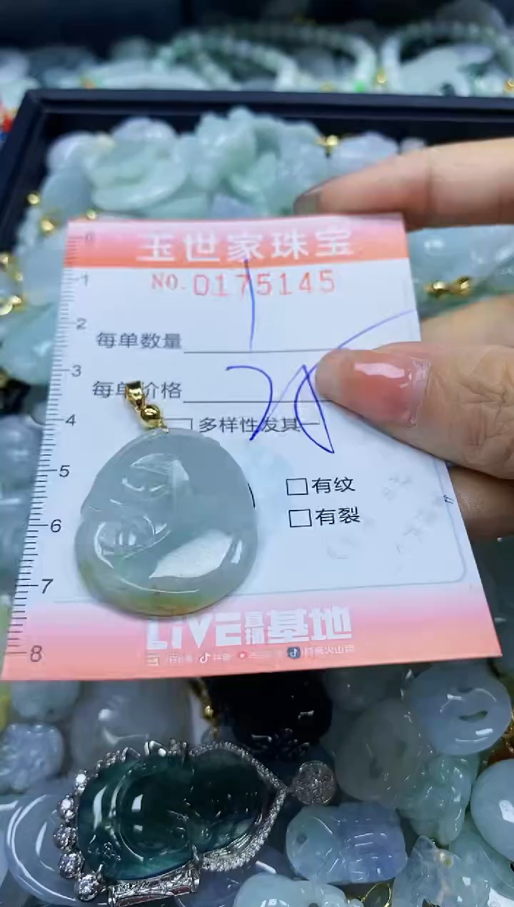 【闪购商品】翡翠颈饰未镶嵌闪购0175145