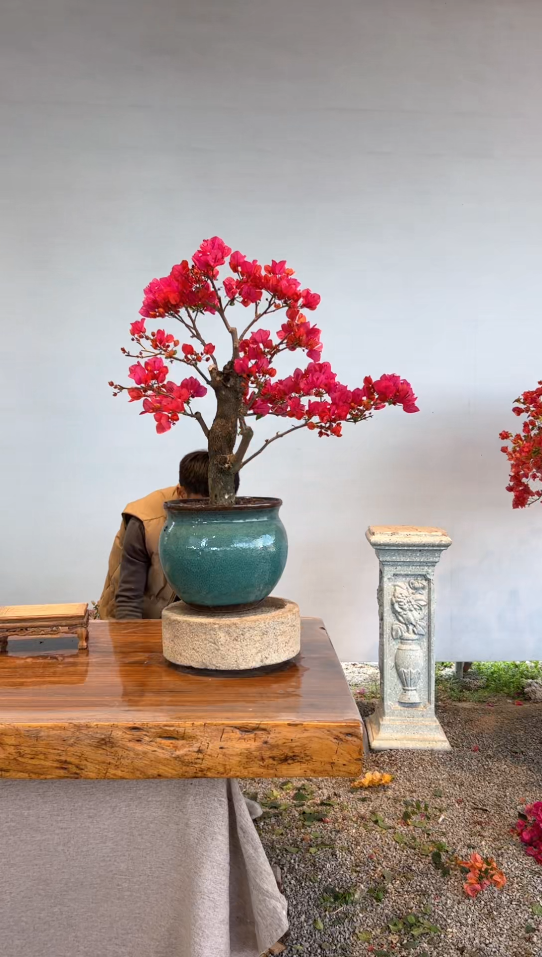 【闪购商品】AA921