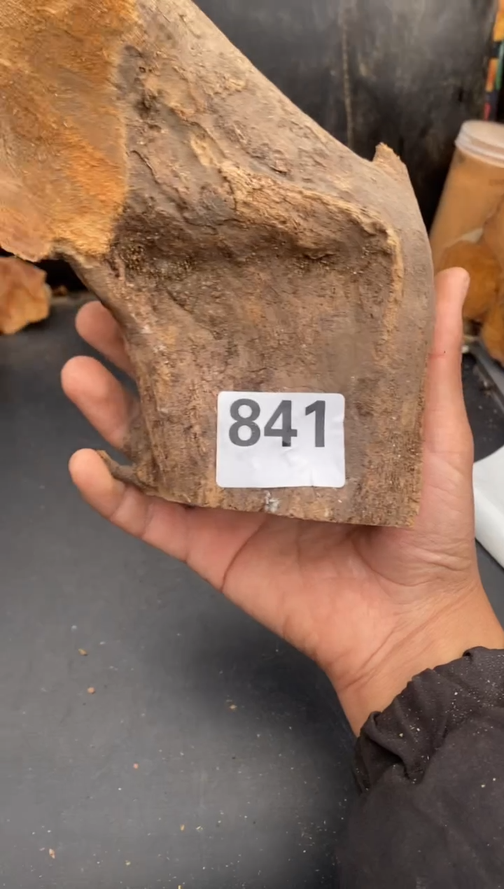 柏木（崖柏）太行陈化崖柏切片！随机（1单1片）841