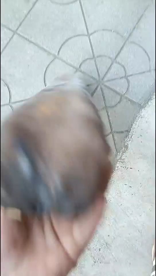 陈*强三个画0000000000