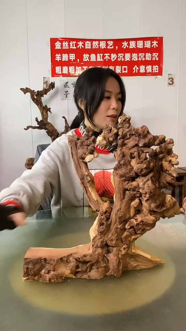 木用****5金丝红木  羊蹄甲