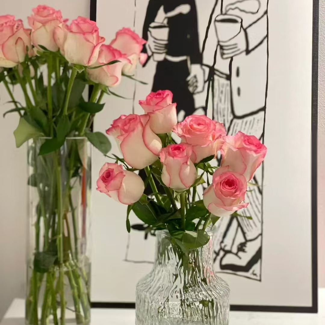 10支装艾莎玫瑰家养瓶插花