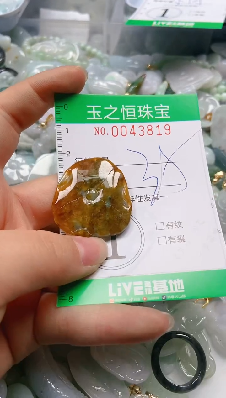 【闪购商品】翡翠颈饰未镶嵌闪购0043819