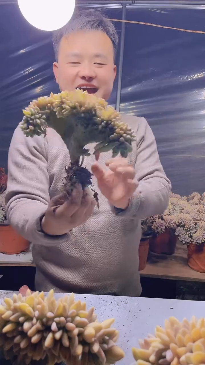 【闪购商品】缀化137