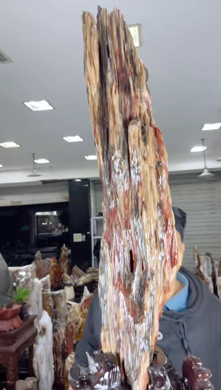 【闪购商品】硅化玉珠宝奇石未镶嵌缅甸天然树化玉