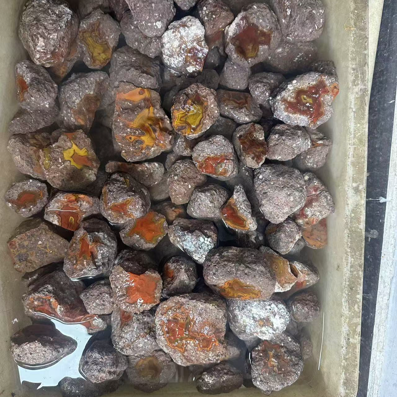 战国红玛瑙多样性