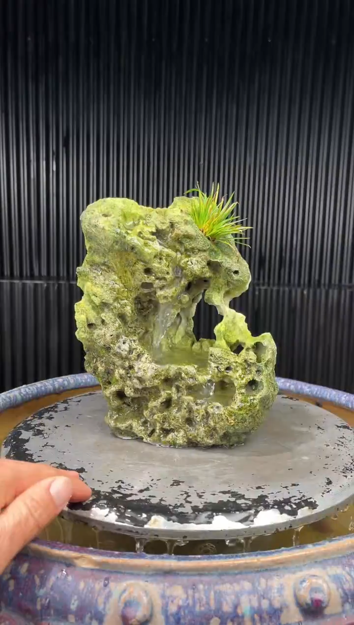  吴定石一物一拍专属