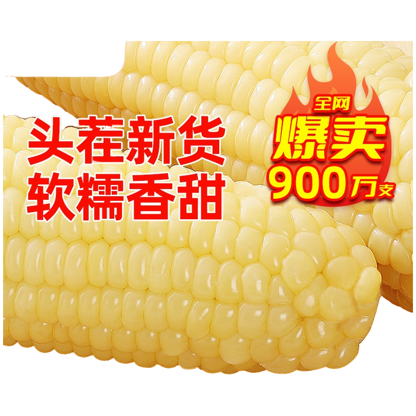 2025头茬东北金糯262黄糯玉米8根装营养粗粮代餐零食