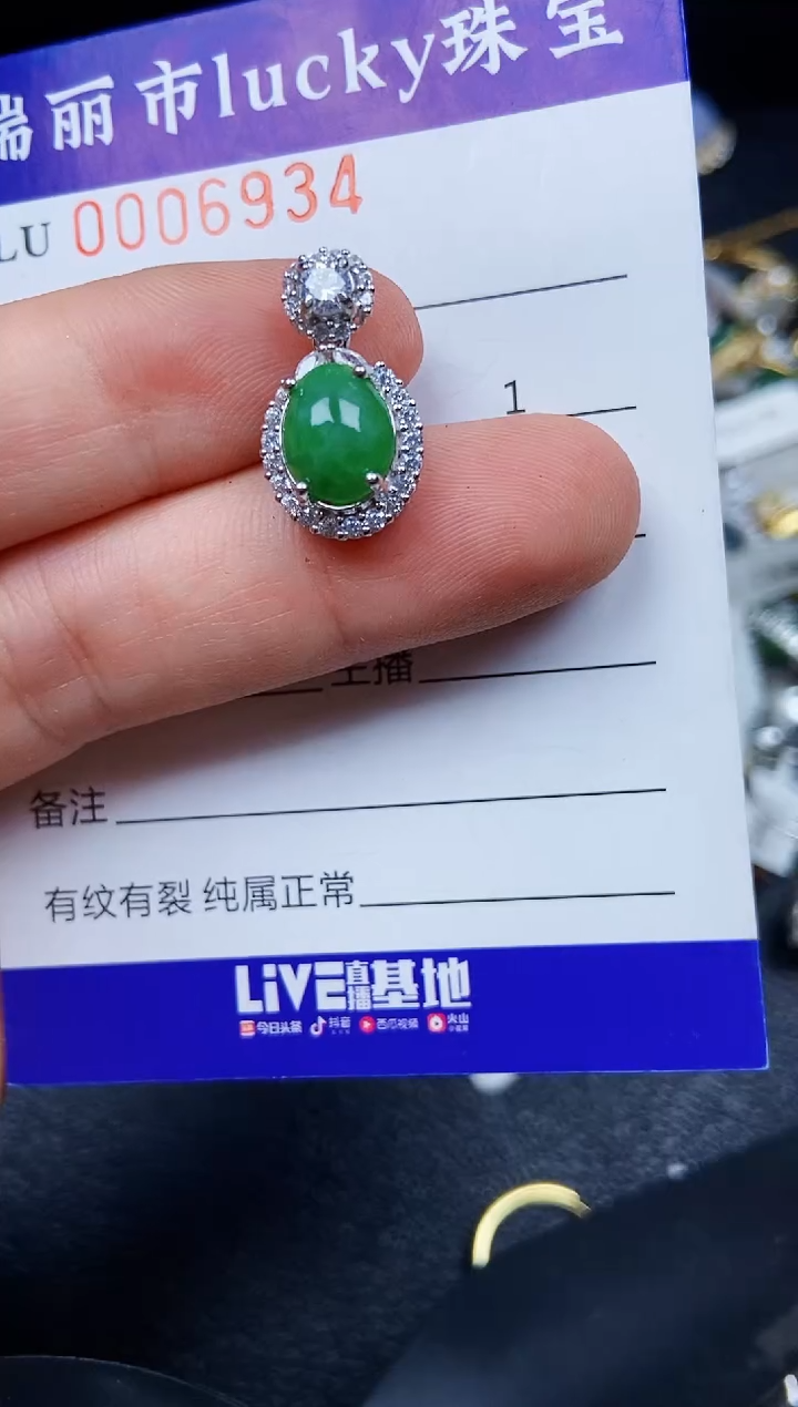 翡翠银S925镶嵌颈饰6934