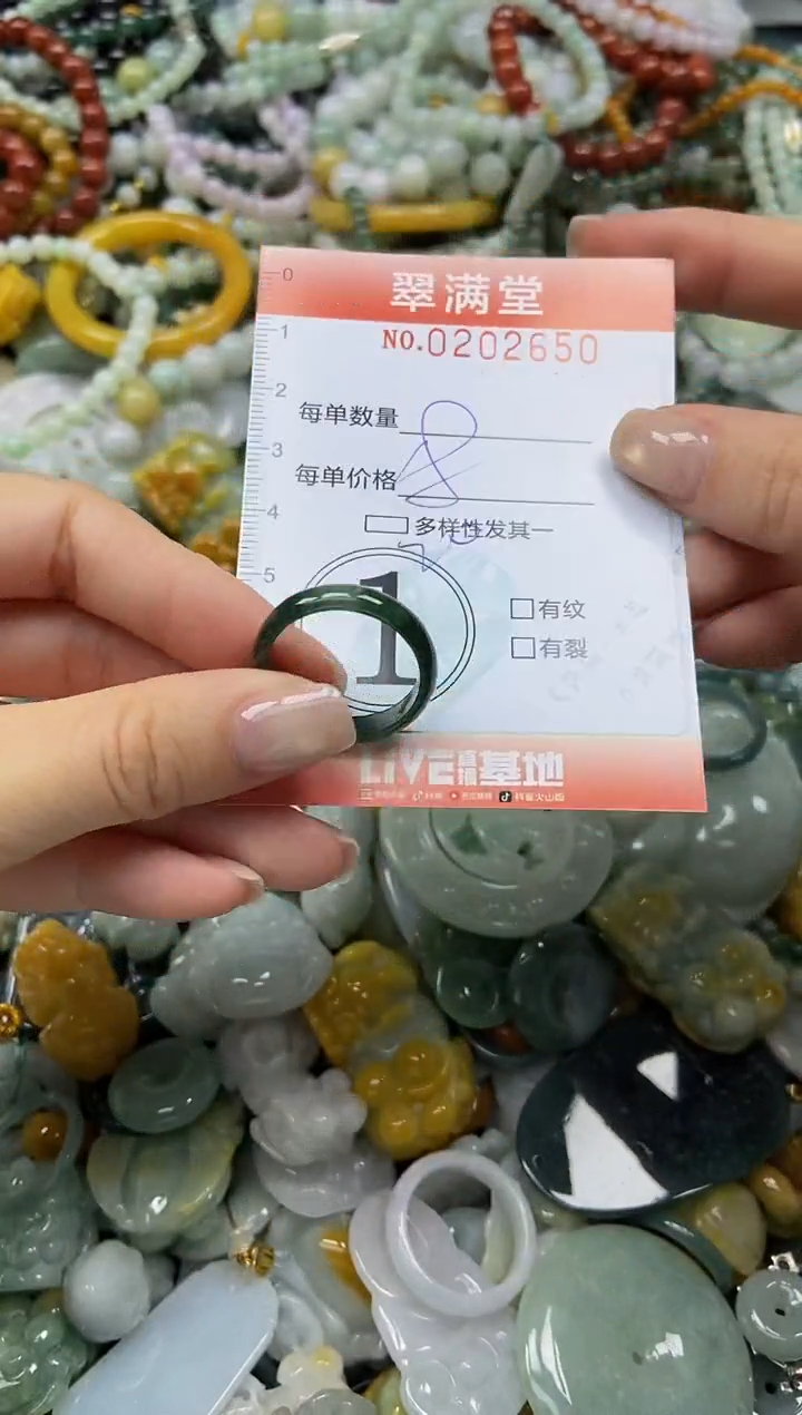 颈饰未镶嵌翡翠闪购0202650