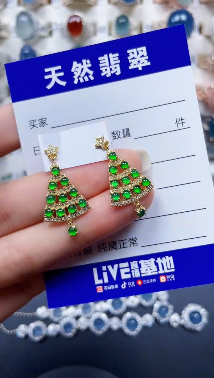 银S925镶嵌翡翠耳饰149