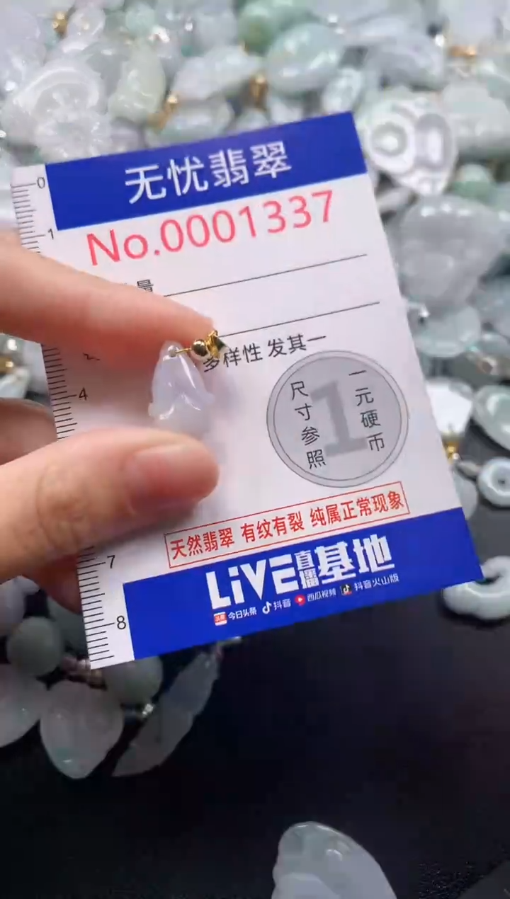 颈饰未镶嵌翡翠1337