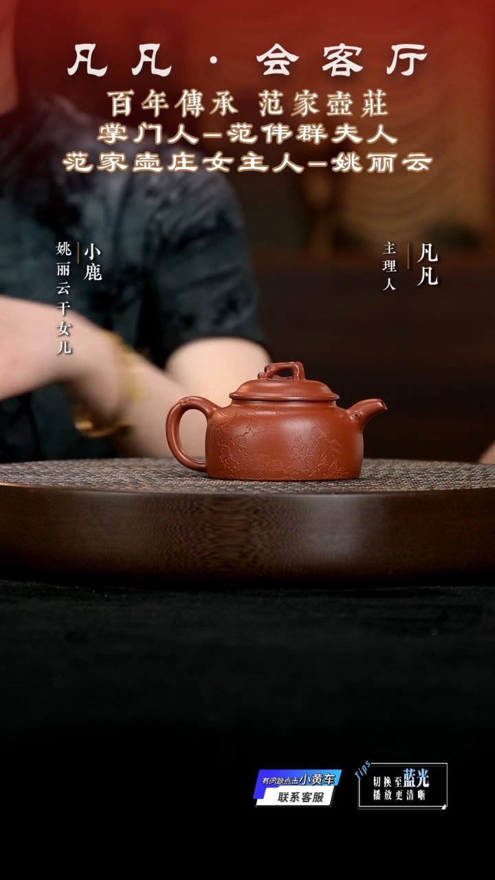 凡凡会客厅 姚丽云紫砂壶99