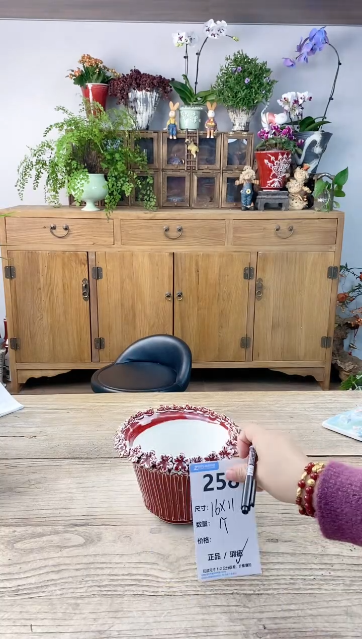 小玩子花盆直播编号258