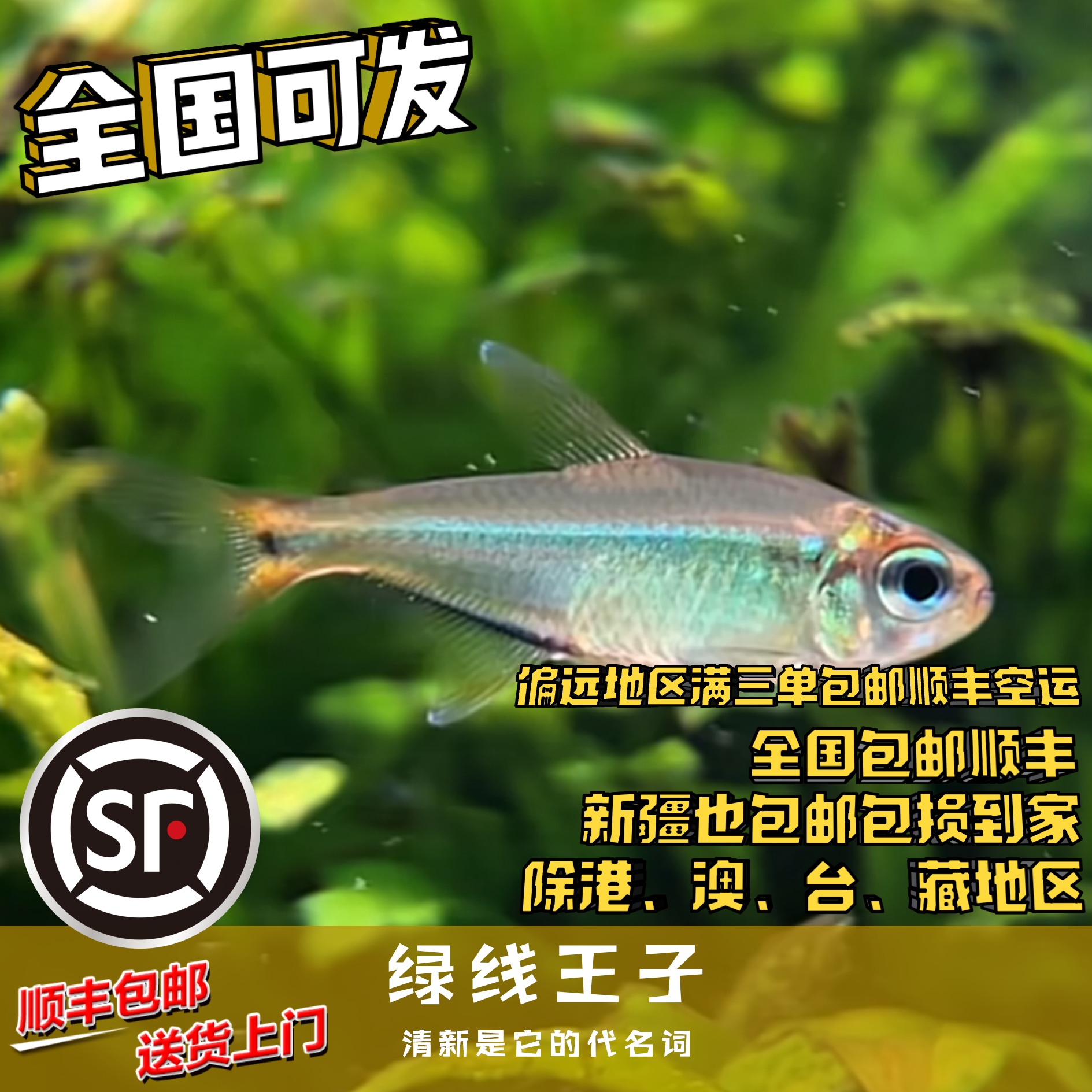 Boo小鱼 绿线王子 偏远地区任意三单包顺丰空运