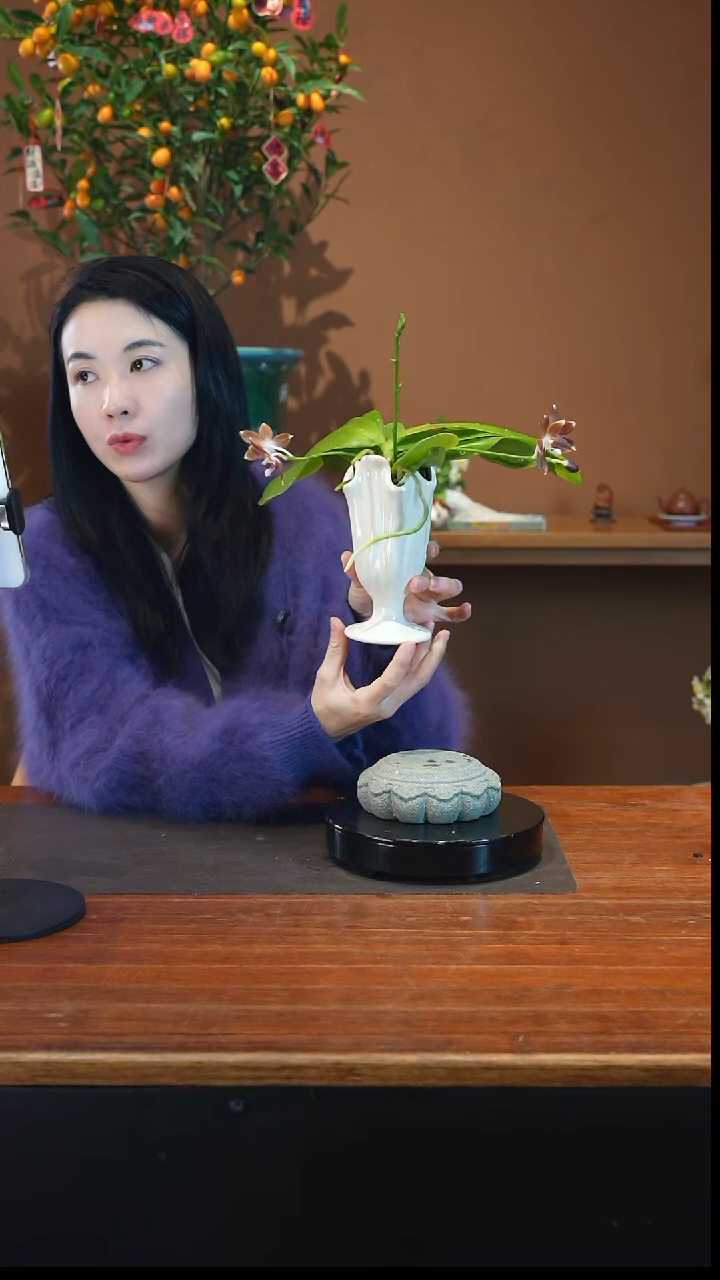 全部花朵咖啡盾景盆景盆景