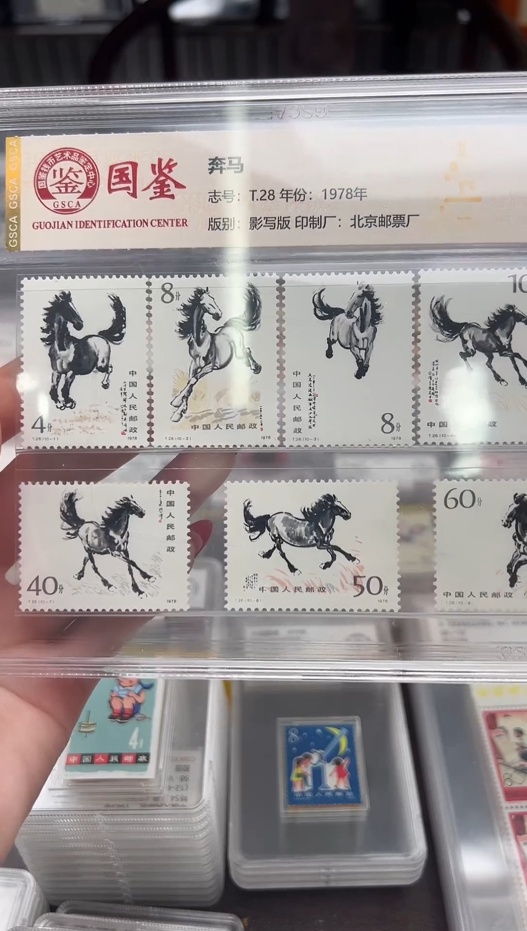 【闪购商品】T28 奔马 套票封装评级 原胶95