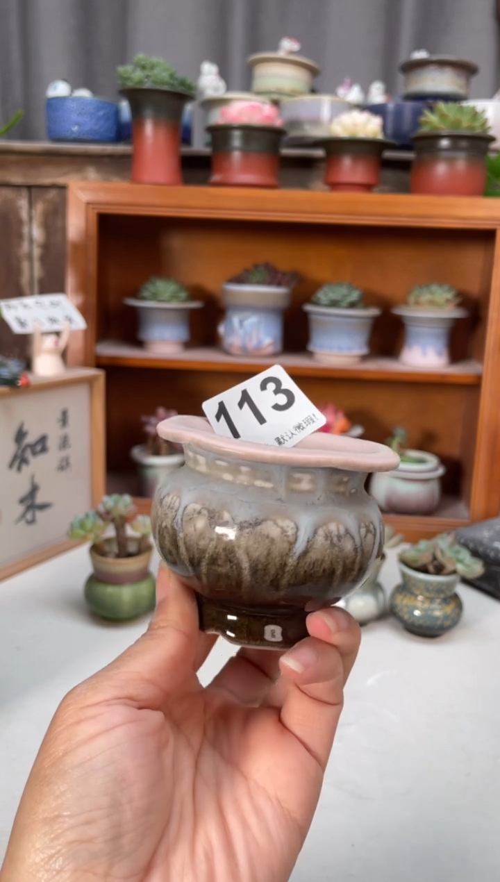 瓷片113知木小芳花盆