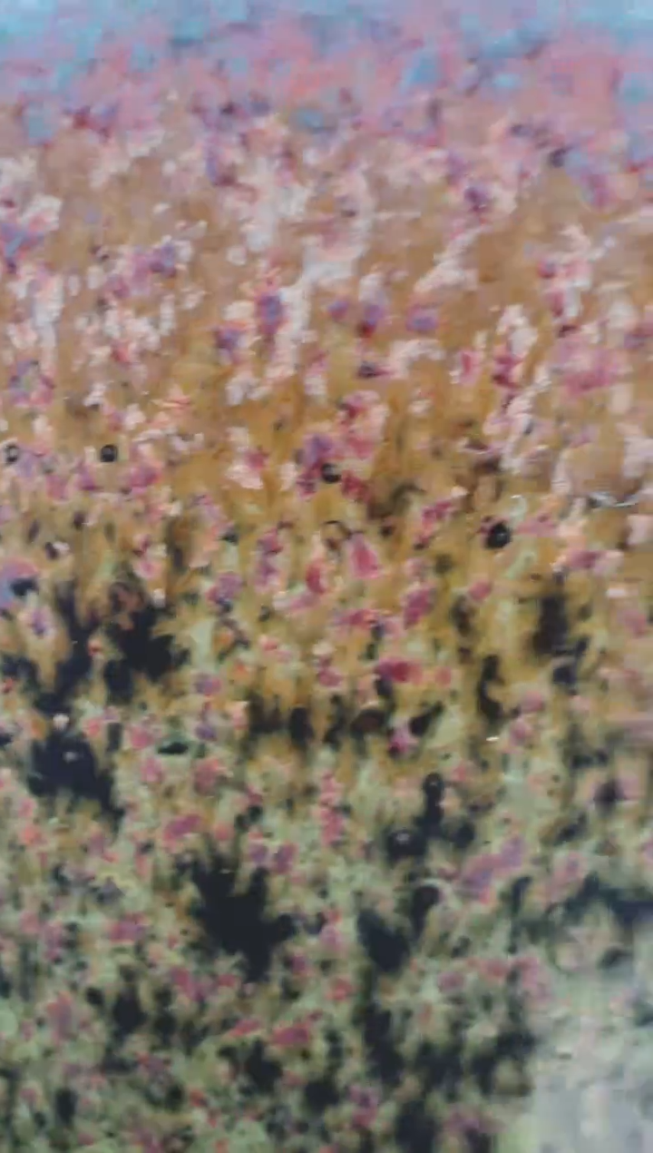 茶盏746建盏建盏建盏