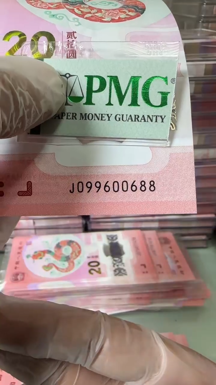 【闪购商品】塑料099600688包PMG67分