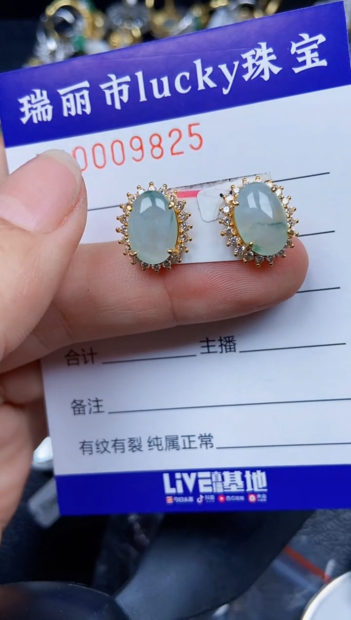 【闪购商品】翡翠颈饰银S925镶嵌9825