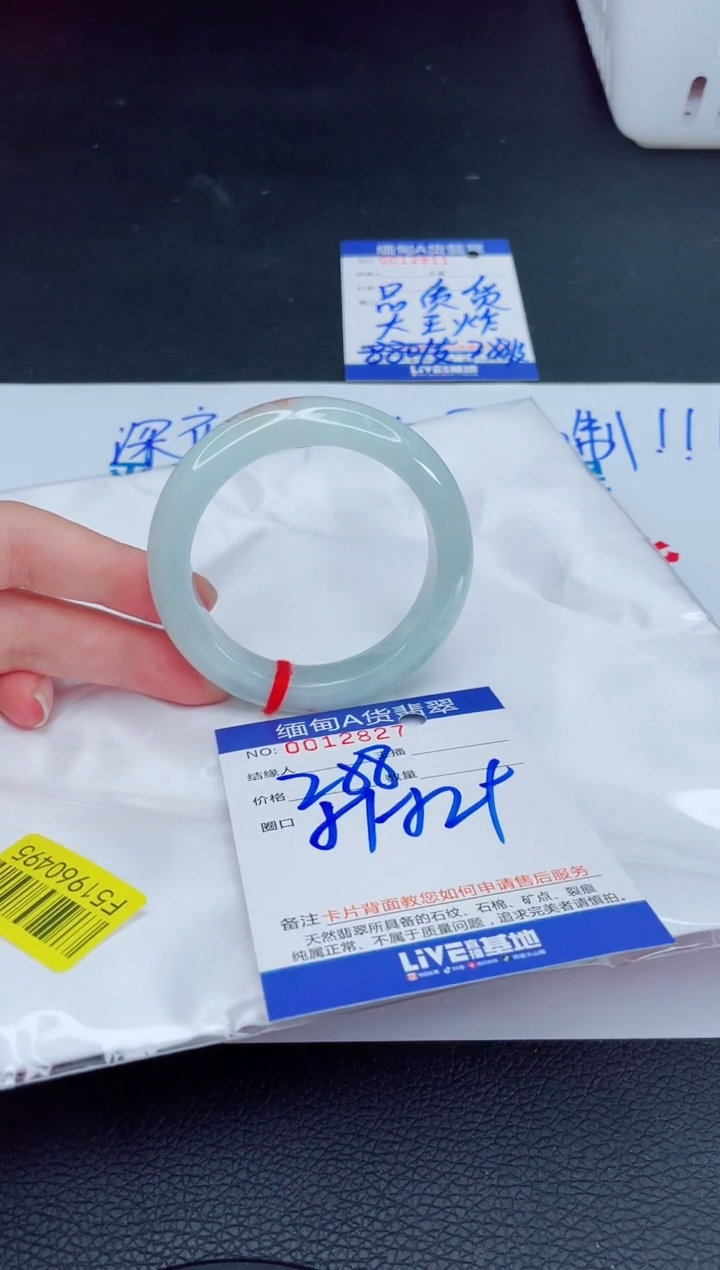 未镶嵌手镯翡翠我2