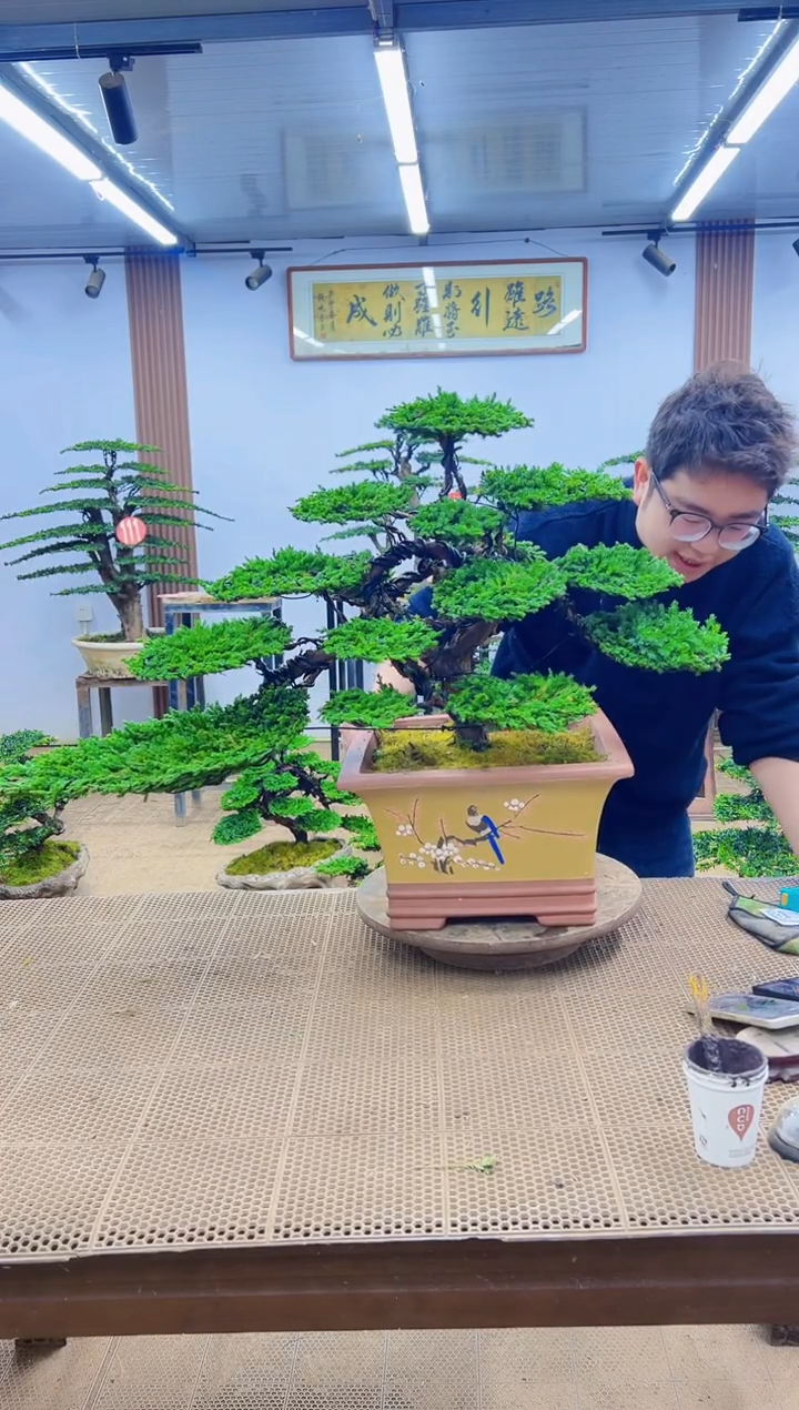 无花朵000000000000