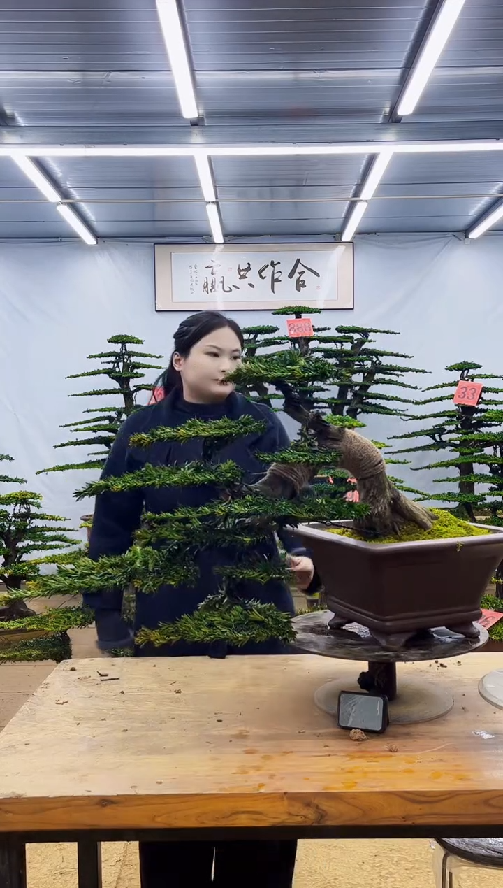 无花朵用****2一物一拍·所见即所得