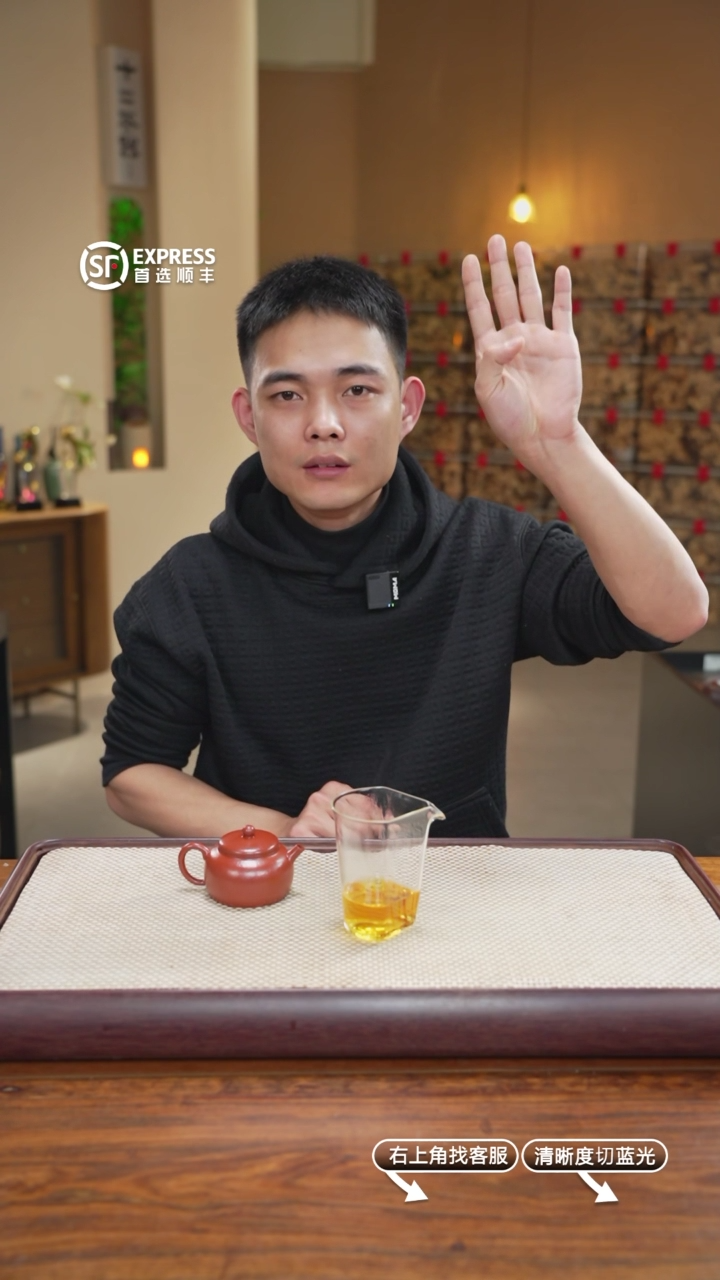 【闪购商品】紫砂茶壶1号【测试链接】