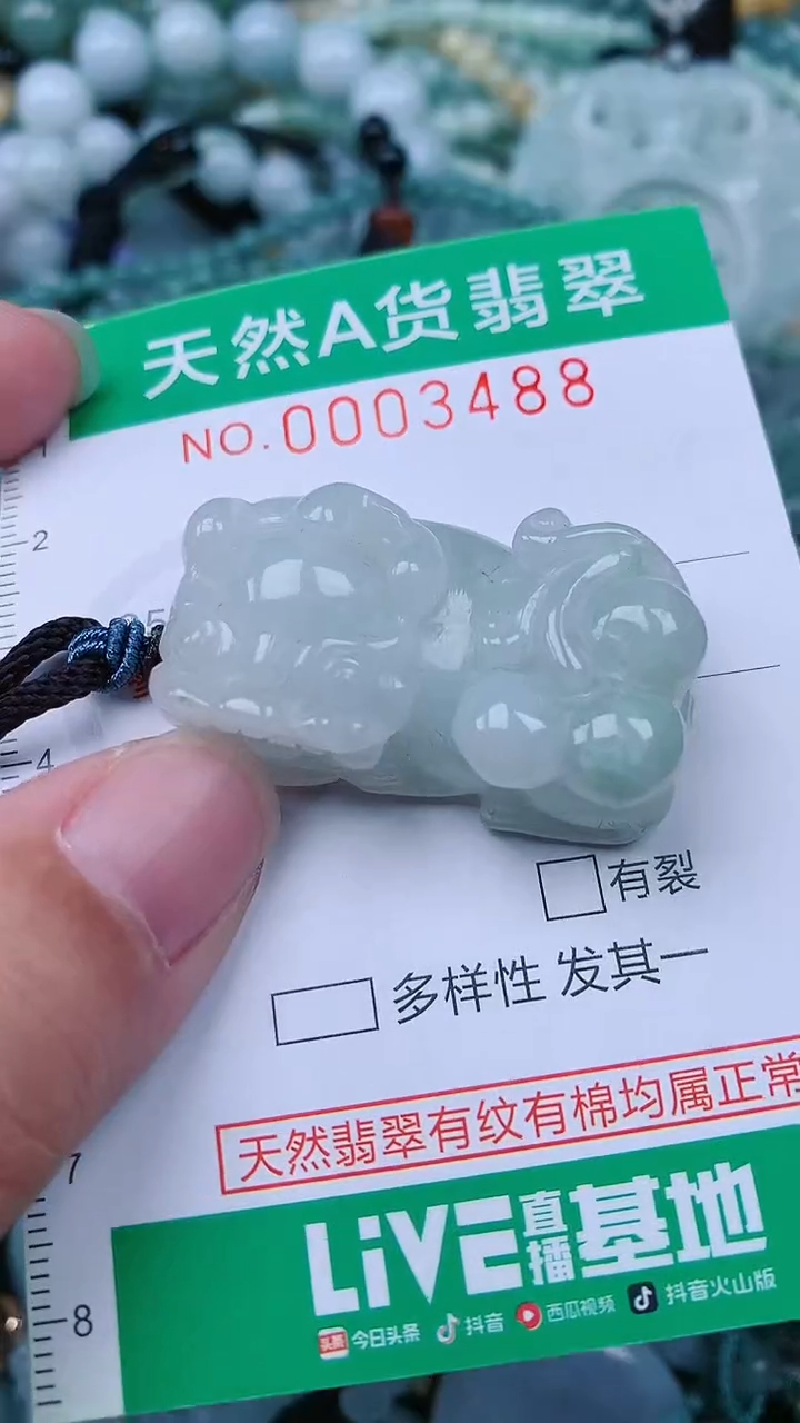 颈饰未镶嵌翡翠.0003488