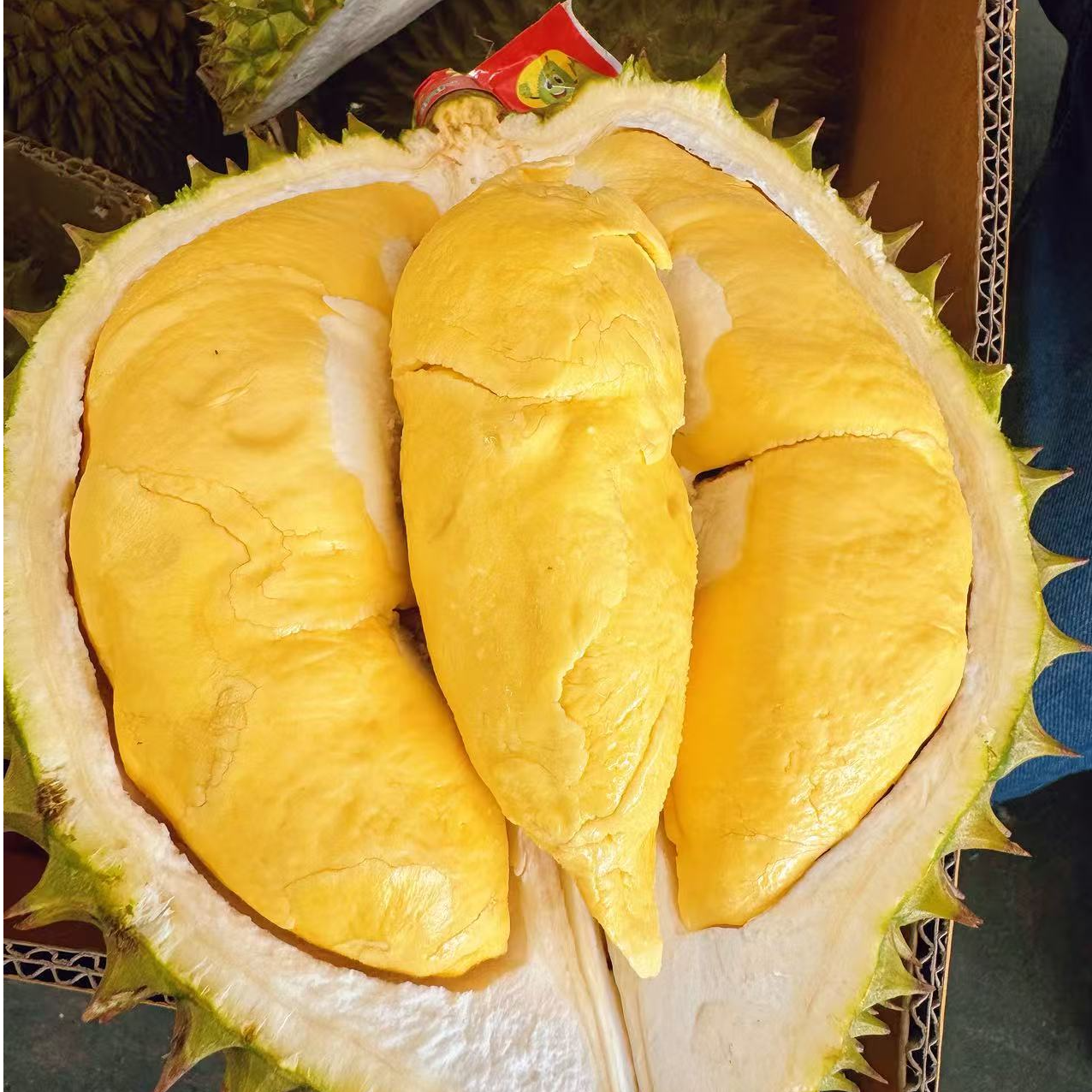 泰国东部-长柄带壳鲜榴莲