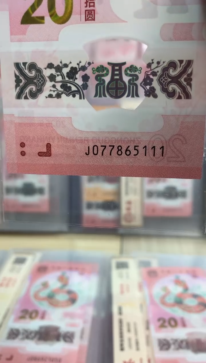 【闪购商品】塑料蛇钞 真钞【单张】5111