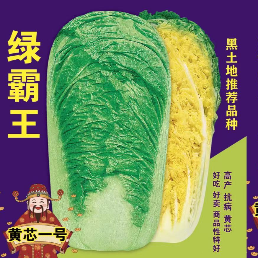 甜源绿霸王(包 ，敞)芯、黄心大白菜，耐储耐运好吃好卖耐腌渍。